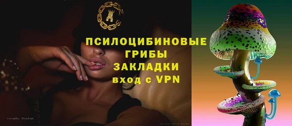 герыч Арсеньев